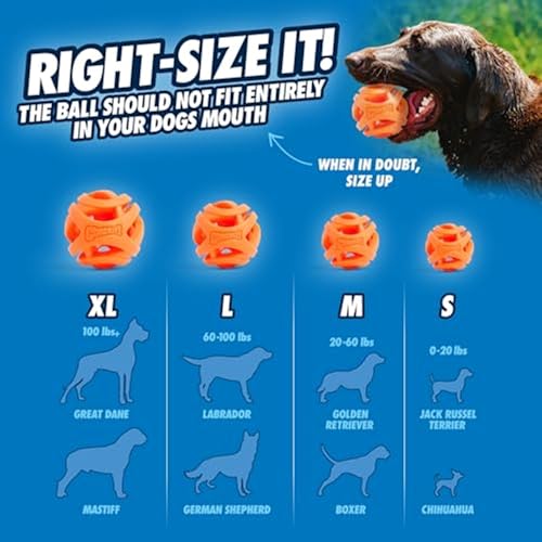 Chuckit! Ball Breathe Right Fetch Ball Medium By 2 Balls to Pursue For Dog, M - Image 4