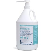 Shampoo for Dogs, Cats, Horses, 1 Gallon
