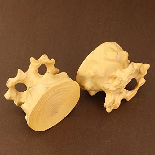 Socle pour bonsaï en bois précieux support de vase - 7