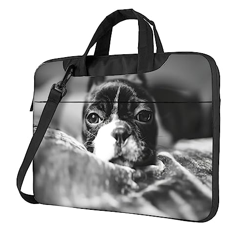 Porte-documents VACSAX antichoc pour ordinateur portable bouledogue français