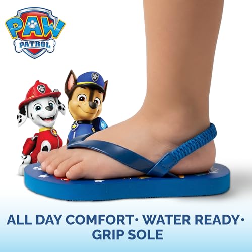Image of Nickelodeon Girls Boys character flip flops sandals kids water shoes - Paw Patrol Blues Clues Baby Shark - thong beach slides summer slip on quick dry toddler little kid