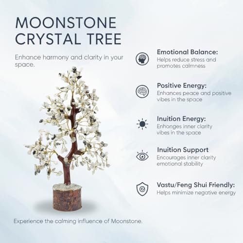 Image of JD Fresh Certified Moonstone Crystal Chakra Tree /Handcrafted Gemstone Tree /Money Tree /Encased Bonsai Tree for Peace, Calm & Positive Energy /Money Tree for Home Decor, Office Desk & Gift Item