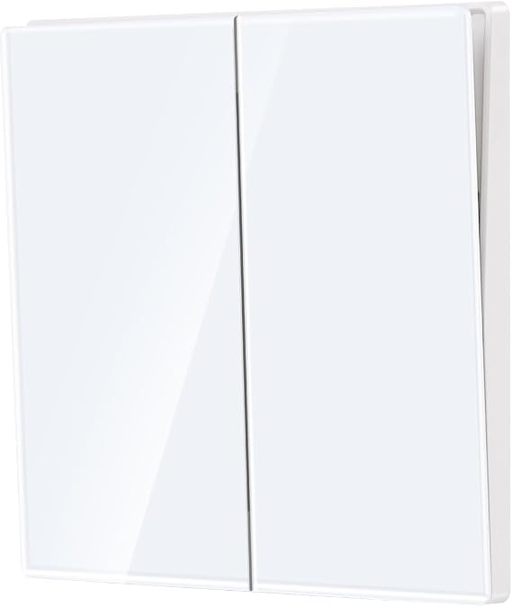 CNBINGO Big Rocker Button Switch, Glass Wall Plate, Double Light Switch