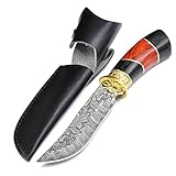 Damascus Steel Straight Knife Fixed Blade Knife with Wood Handle+Sheath for Outdoor Survival, Hunting,Camping,Fishing