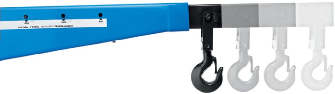 CATOCCI MACCHINE Gru GRUETTA IDRAULICA A Carrello Portata kg 2000 OMCN SL/20