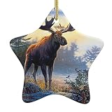 Pendentif en céramique en forme d'étoile avec élan du Nord : impression double face, convient pour la décoration de Noël