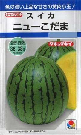 �^�L�C��c �X�C�J�j���[������ �^�L�C��z��؎�t�܂�/9��