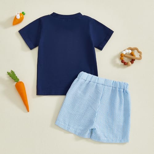 Image of Toddler Baby Boy Easter Rabbit Outfit Short Sleeve Bunny Carrot Smocked T-shirt Elastic Waist Shorts Summer Clothes