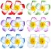 24 Pack 2.5 Inch Hawaiian Plumeria Flower Foam Hair Clip, Hawaiian Hair Flower, Vacation Outfit, for Bridal Wedding, Party, Beach, for Girls Teens Kids Adults