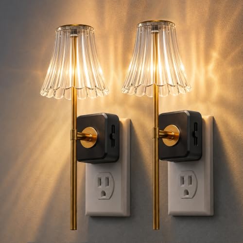 Image of L LOHAS LED Night Lights Plug into Wall,Decor Acrylic Vintage Night Light
