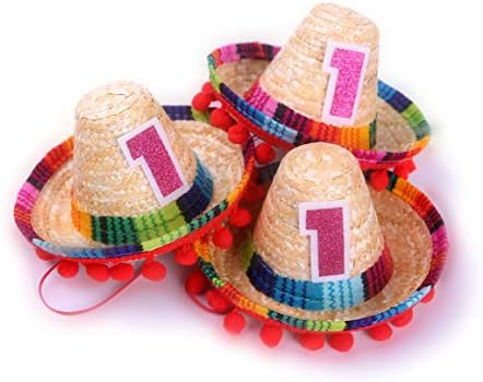 Mini Sombrero Hats for 1st Birthday 