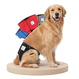 NATURE PET LÄUFIGKEITSHOSE FÜR HÜNDINNEN – Hundewindeln für Hündinnen & Rüden – Waschbare Inkontinenz-Hundewindel ohne Einfädeln der Rute – Verstellbar & bequem – M/Schwarz NATURE PET LÄUFIGKEITSHOSE FÜR HÜNDINNEN – Hundewindeln für Hündinnen & Rüden – Waschbare Inkontinenz-Hundewindel ohne Einfädeln der Rute – Verstellbar & bequem – M/Schwarz