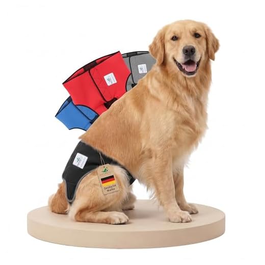 Läufigkeitshose für Hündinnen / Inkontinenzhose für Rüden / Hundeschutzhose aus hochwertigem, perforiertem Neopren, Schwarz, XL (Herstellergröße 9)