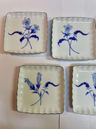 [ސKIMIJIMA.I {pBELcėq َqM 5Zbg