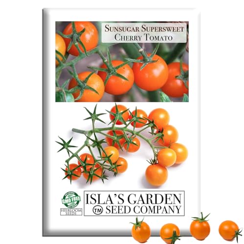 Sunsugar Supersweet Cherry Tomato Seeds (Lycopersicon lycopersicum) – 20+ Heirloom Non-GMO Seeds by Isla’s Garden Seeds, Extra-Sweet Orange Cherry Tomatoes, Indeterminate Vines for Heavy Yields, Patio