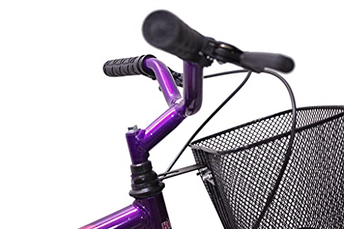 Bicicleta Aro 20 Infantil Feminina Com Cesta Saidx (Violeta)
