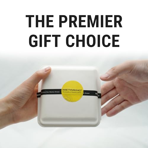 METARINO Women's Athletic Underwear Panties Soft 15.5 Micron Merino Wool Sports Active High Waisted Briefs4