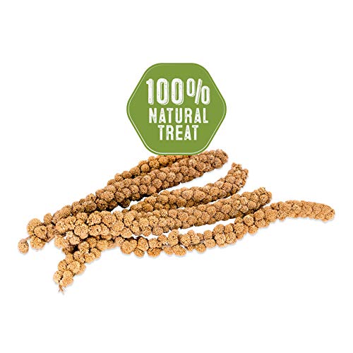 Living World Birds Spray Millet, 5-Pound #TOP7
