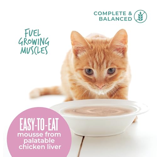 Tiki Cat Baby Mousse Wet Cat Food, Chicken, Tuna & Chicken Liver, 2.4 oz by TIKI PETS - Image 5