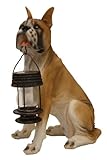 Tricod Boxer Dog with Lantern Solar Light