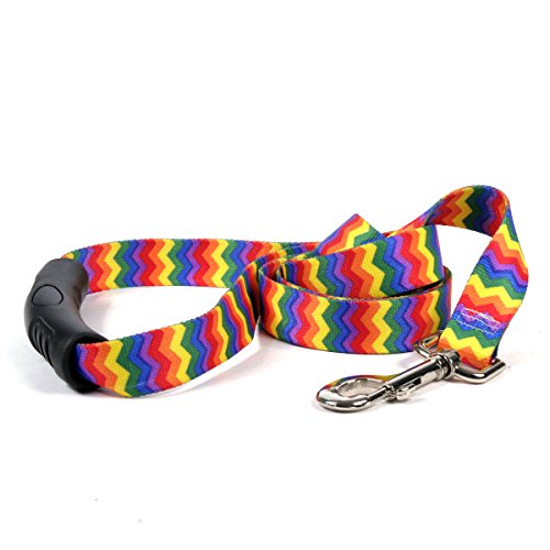Yellow Dog Design Rainbow Chevron EZ-Grip Dog Leash with Comfort Handle, Large-1' Wide and 5' (60') Long