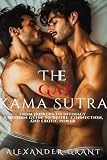 The Gay Kama Sutra: From Hookups to Intimacy: A Modern Guide to Desire, Connection, and Erotic Power