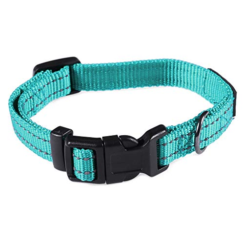 Image of Max and Neo NEO Nylon Buckle Reflective Dog Collar - We Donate a Collar to a Dog Rescue for Every Collar Sold (X-Small, Teal)