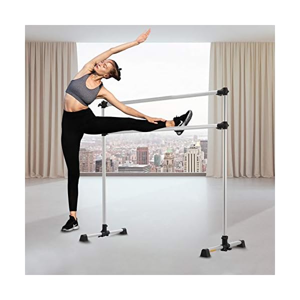 ZELUS Portable Ballet Barre for Home Gym | Freestanding Dance Exercise Equipment for Home Workouts Fitness Flexibility Training with Stretch Band and Tote (5ft, Silver)