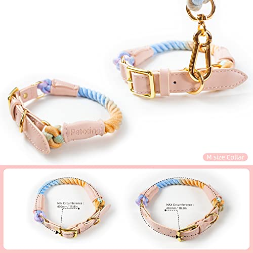 Petccino, 5 Ft Dog Leash & Collar Set, For Medium And Large Dogs, Colorful Braided Rope With Faux Leather Handle, Flexible And Durable Clasp (M Size Collar With 5 Feet Standard Leash) #TOP3