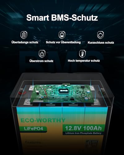 ECO-WORTHY Lithium Batterie 12v 100ah mit BMS Low Temperature Schutz und Max.15000 Zyklen, 1280Wh LiFePO4...