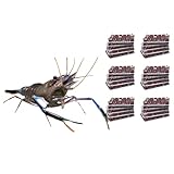 NatureHolic Frostfutter Mix Großarmgarnelen | 24 Blister á 100g | Artemia Gammarus Mückenlarven Daphnien mit Knoblauch | Schockgefrostetes Naturfutter für Macrobrachium & Co. im Aquarium