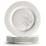 IQCWOOD White Dinner Plates Set of 6, Ceramic Dinner Plates, Round Dessert White Plates Porcelain Pl