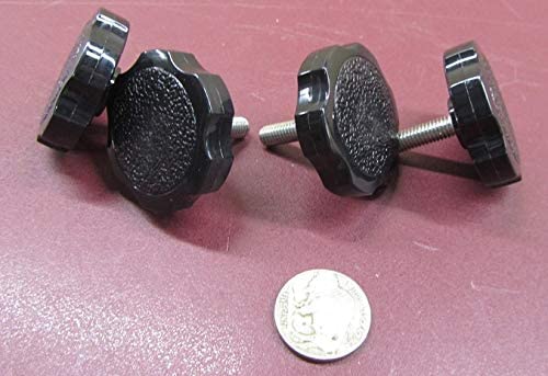 Metric 18-8 SS Rosette Head Thumb Screws FT M6 x 1.0 x 20 mm Length 10 Pcs