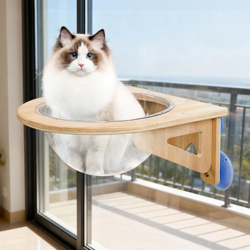 NODIBRO LnbN zՕt L xbh zՎ  Lpxbh th[^   S ^ Vv X^CbV K ybgxbh W] ybg݂艺 EȒP ͂ȋz FD {t (؂̐F)