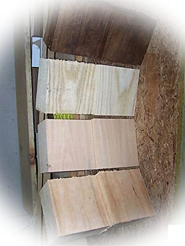 New Four (4) Various Bowl Blanks Red Oak, Elm, Cherry, Poplar 6" X 6" X 3" Craft Wood Kit Set Supplies Mon-1197To #TOP18