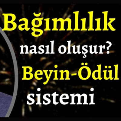 『Bağımlılık nedir ve nasıl oluşur? - #bağımlılık #psikiyatri #psikoloji #tedavi』のカバーアート