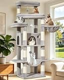 Taoqimiao Heavy-Duty Cat...image