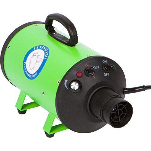 Flying Pig High Velocity Dog Pet Grooming Dryer w/Heater (Model: Flying One, Green)