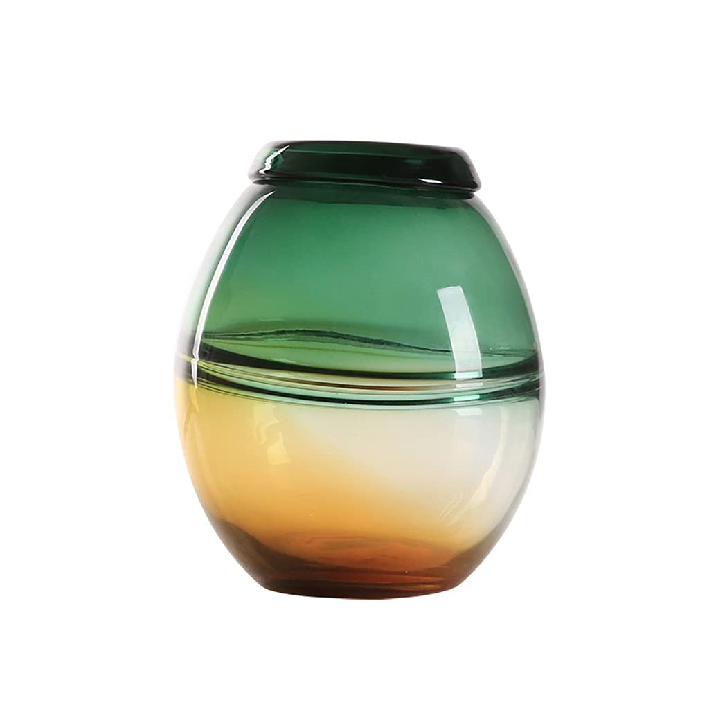 Vase en verre épais stable pour fleurs hydroponiques sans risque de chute