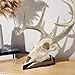 Skull Hanger, European Mount Skull Hanger, Table Deer Skull Mount Hanger for Table Display of Taxidermy Deer Antlers and Other Skulls, Table Skull Hanger for Pronghorn and Other Smaller Skulls
