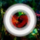 iMD-Musical Liberation