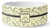 RNK Shops Personalized Dinosaur Skeletons Ceramic Dog Bowl - Medium