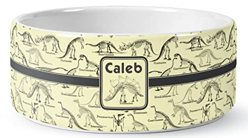 RNK Shops Personalized Dinosaur Skeletons Ceramic Dog Bowl - Medium