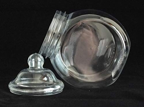 Vaso vuoto in plastica 650ML con coperchio a vite vittoriano (5)