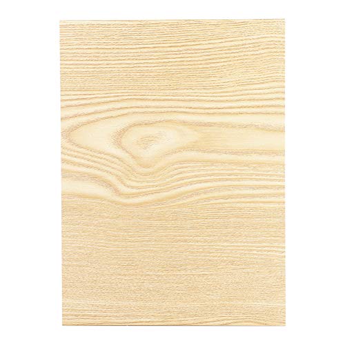 ASHATA Schermo Amplificatore, 12 Pollici Magnifier...