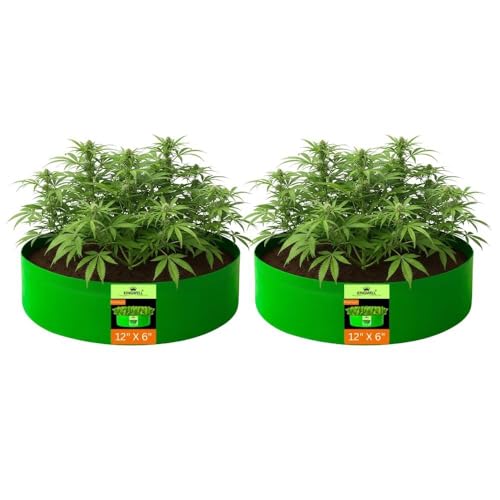 Image of Kingwell grow bags 12x6 inch pack of 2 Grow Bag For Terrace Garden Leafy Vegetable Plant Grow Bags Fruits Growing Containers For terrace Gardening