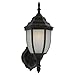 Sea Gull Lighting 88940BL-782 Outdoor Sconce with Satin Etched?Glass Shades, Heirloom Bronze Finish