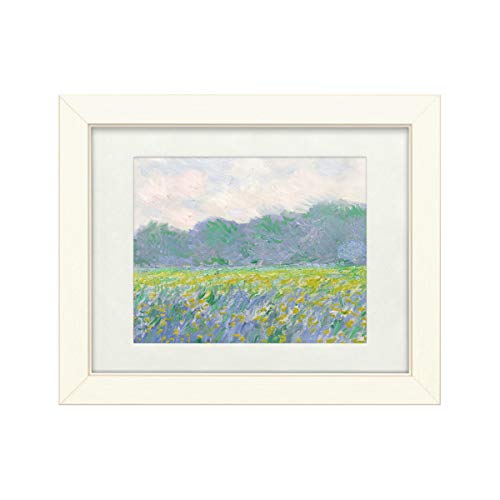Field of Yellow Irises by Claude Monet – Matte, Distressed White Frame 11x14