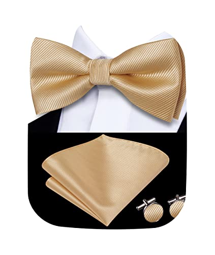 Image of Hi-Tie Pre-Tied Bowties for Men Silk Bow Ties and Pocket Square Cufflinks Set Mens Wedding Party Formal,Champagne