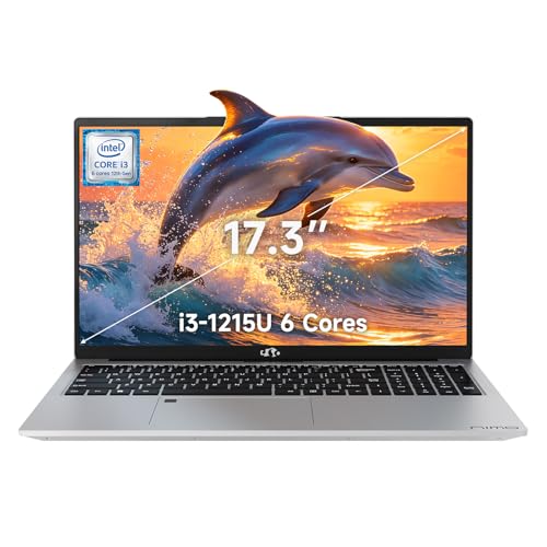 NIMO 17.3 Gaming Laptop with AMD R7 7735HS
